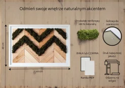 Obraz z mchem - Deski w jodełkę 60x40 cm Biała Rama