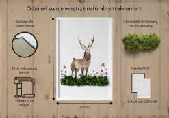 Obraz z mchem - Jeleń wśród kwiatów 40x60 cm Biała Rama