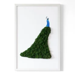 Obraz z mchem - Paw 40x60 cm Biała Rama