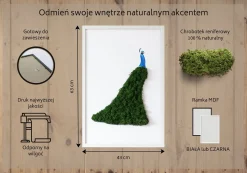 Obraz z mchem - Paw 40x60 cm Biała Rama