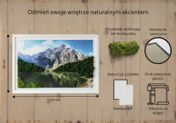 Obraz z mchem - Tatry - Morskie oko 60x40 cm Biała Rama