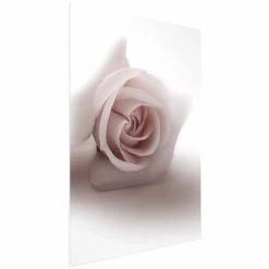 Plakat Różany cień 21x30 cm