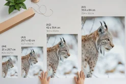 Plakaty canvas A4 Rys zimą przyroda naturalne barwy harmonia