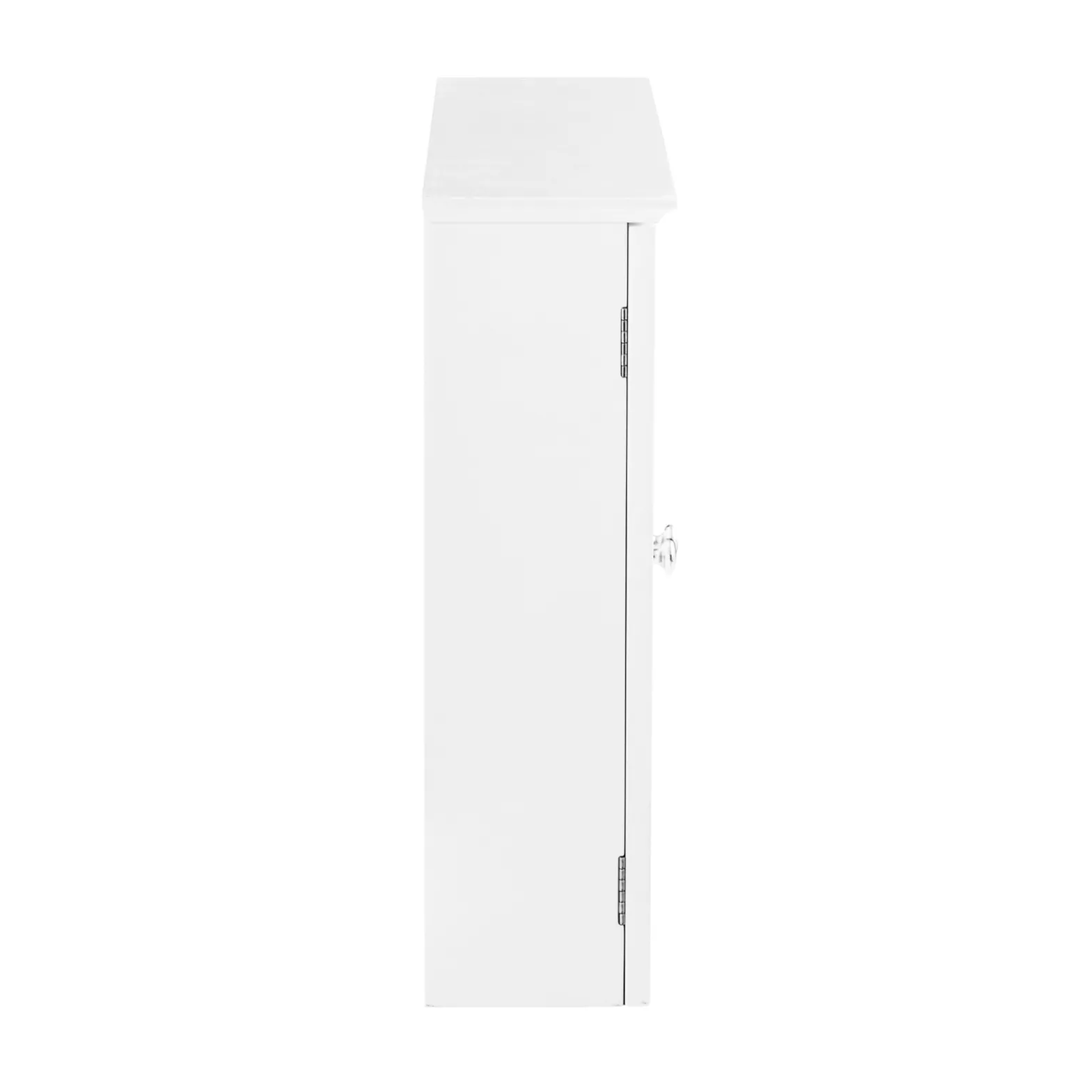 SoBuy Wisząca szafka z 2 drzwiczkami Biały 65x14x49cm BZR55-W