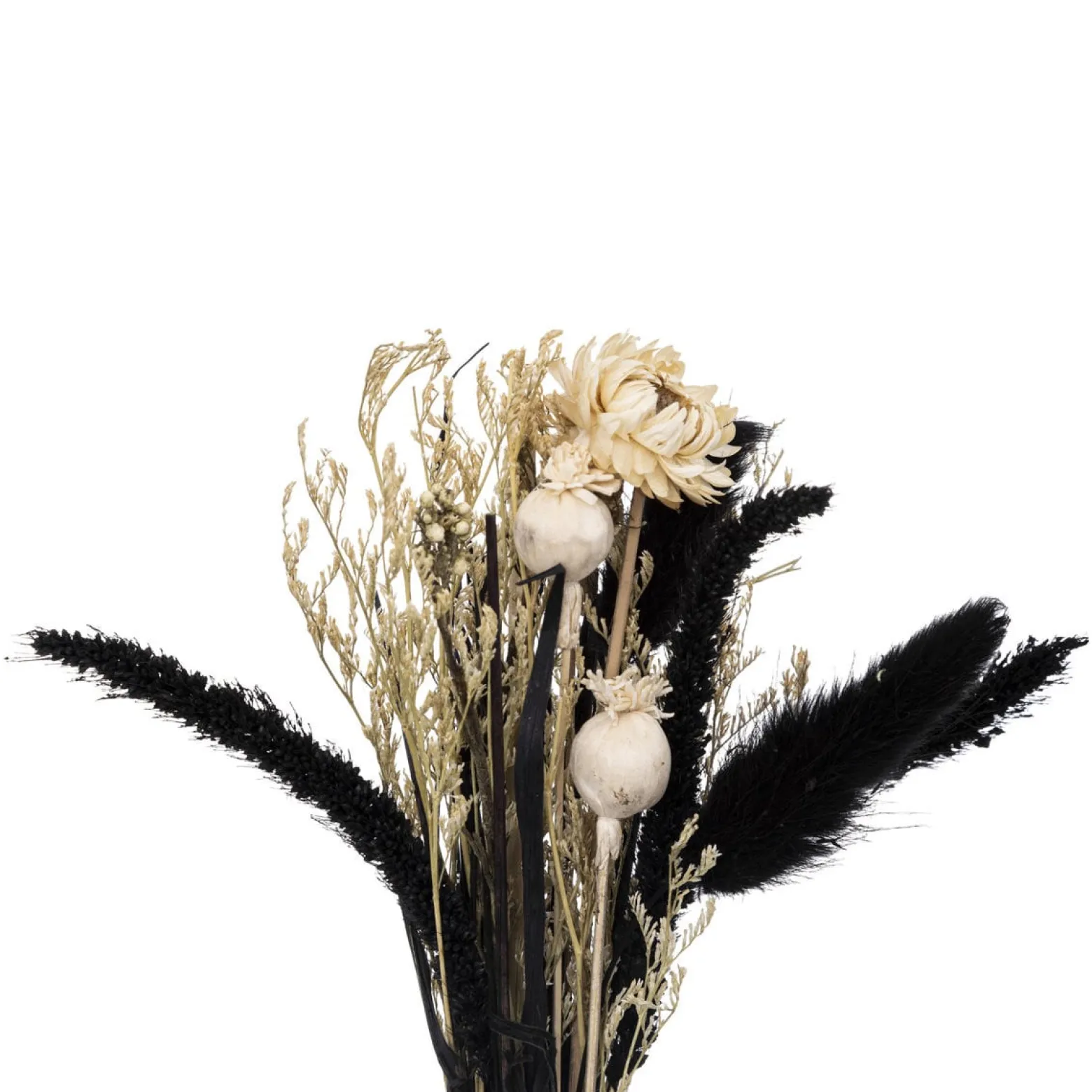 Suszone kwiaty w wazonie SUBLIMA, 27 cm