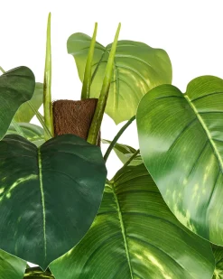 Sztuczna roślina DIEFFENBACHIA 152 cm Zielony