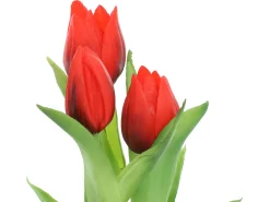 Sztuczne tulipany gumowane w wiązce 3 szt. 20 cm czerwone