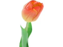 Tulipan pojedynczy 47 cm pomarańczowy