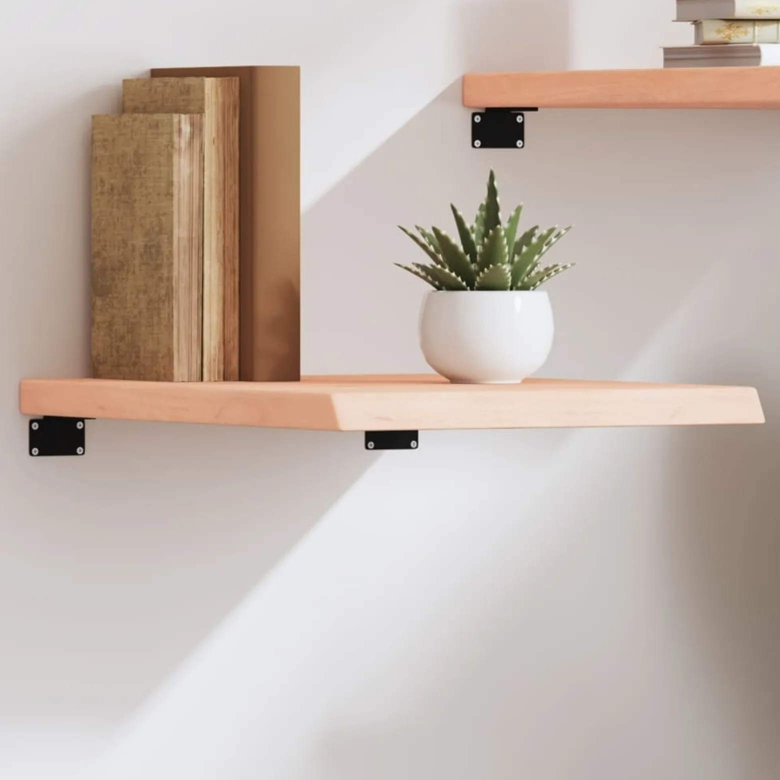 VidaXL Półka 40x50x(2-4) cm surowe