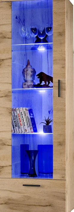 Witryna Szklana Regał Salon Dąb Wotan z Półkami LED 192x60