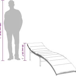 2x Leżak Ogrodowy Leżanka Na Taras Balkon Ogród